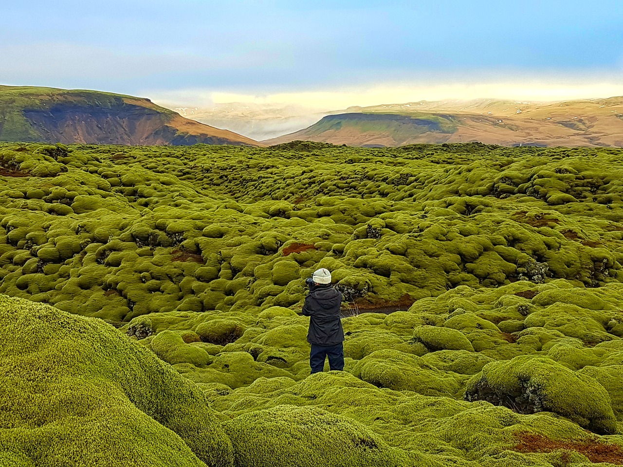 Lavos Laukas, Samanų Laukas, Eldhraun, Iceland, Stebuklų Kraštas, Žalios Samanos, Gamta, Vaizdingas, Vienas, Vyras