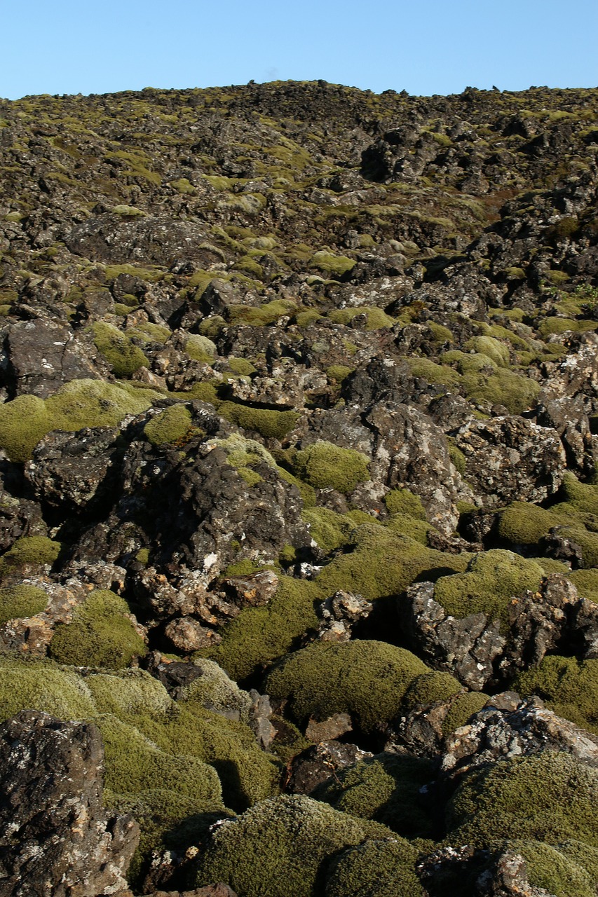 Lavos Laukas, Islandijos Kraštovaizdis, Vulkaninis, Nemokamos Nuotraukos,  Nemokama Licenzija