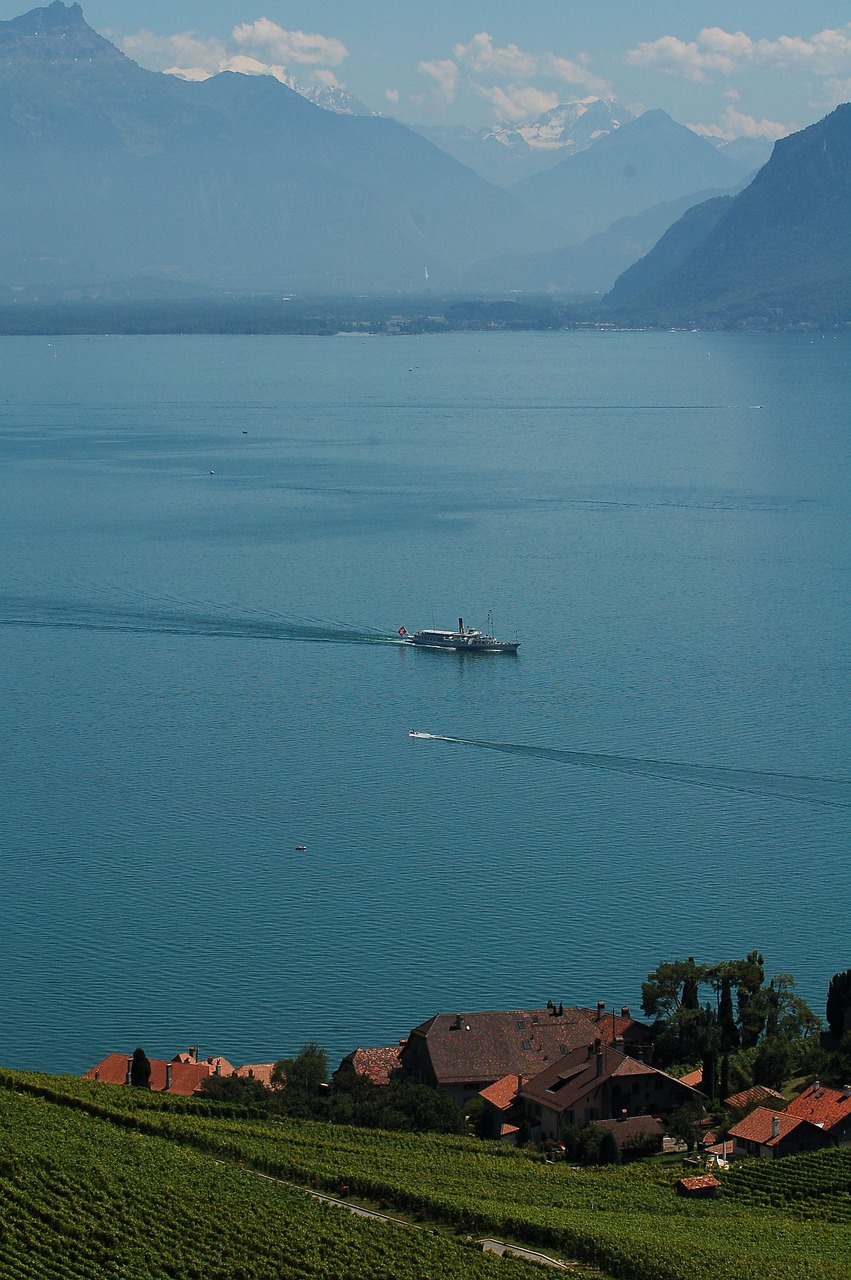 Lavaux, Vaud, Vynuogynai, Geneva, Ežeras, Lac, Leman, Šveicarija, Kalnai, Vanduo