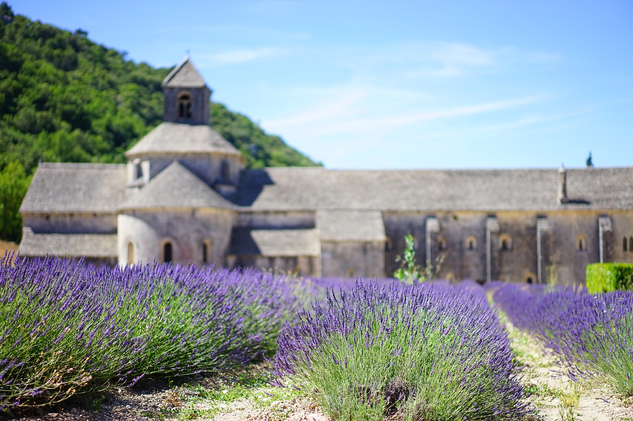 Levanda, Levandų Žiedas, Levandų Auginimas, Levandų Laukas, Cistercianų Abatija, Vienuolynas, Vienuolyno Bažnyčia, Abbaye De Sénanque, Abatija, Notre Dame De Sénanque