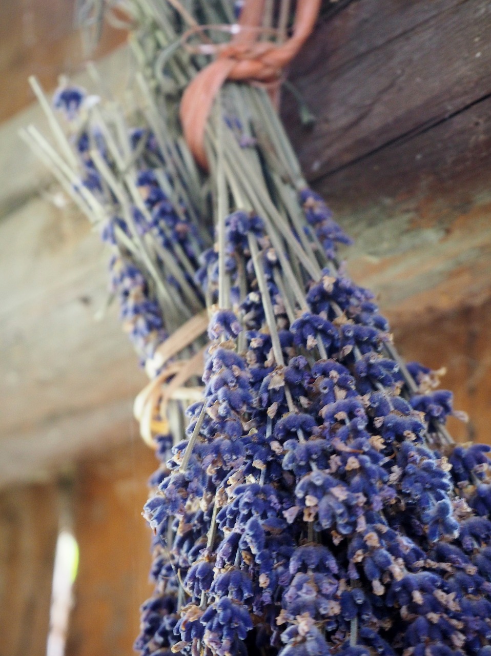 Levanda, Žolė, Sausas, Džiovintas, Žolelės, Gamta, Levandų Gėlės, Kvepalai, Gėlės, Aromatingas