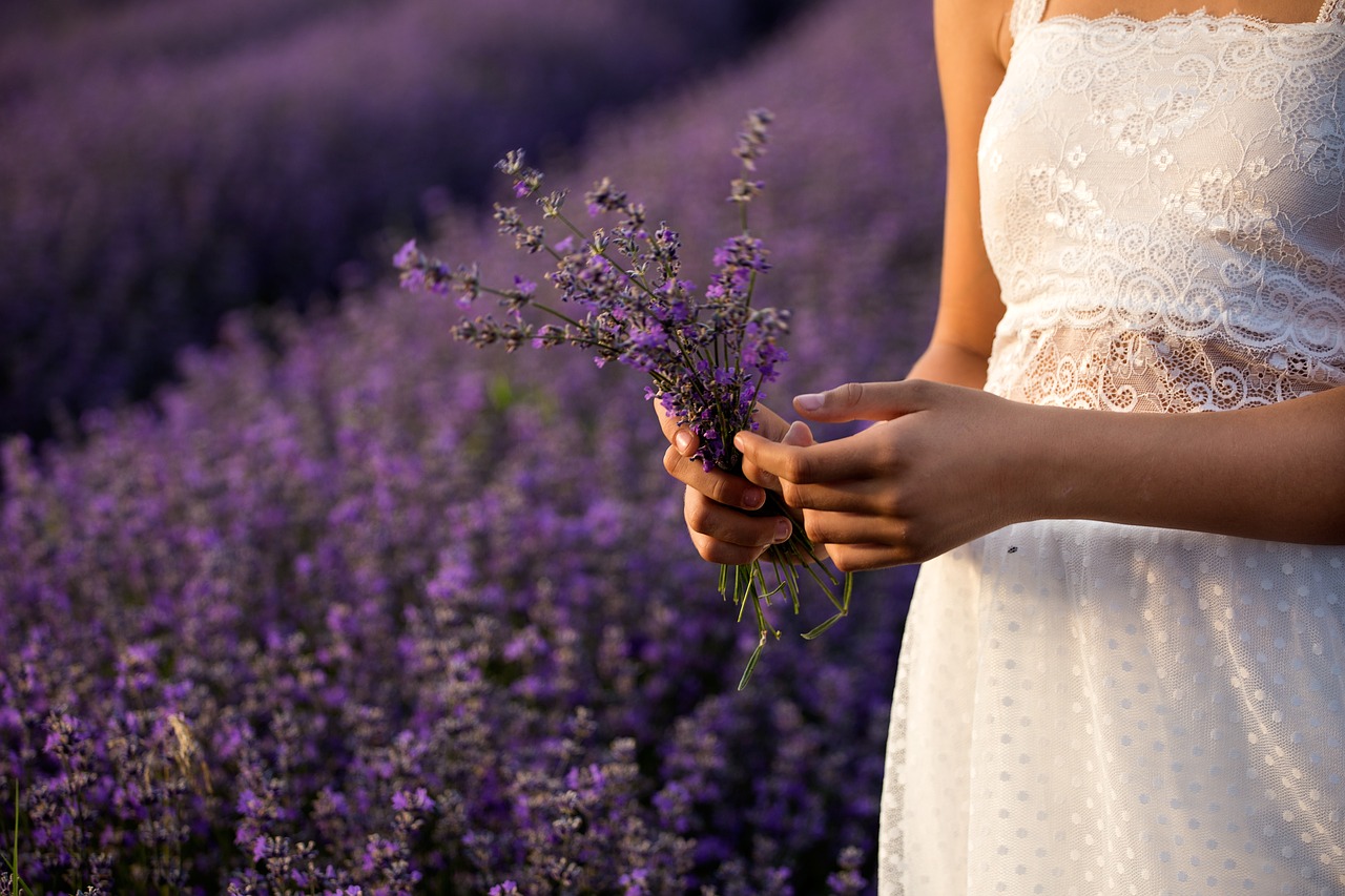 Levandų,  Pobūdį,  Gėlės,  Augalai,  Violetinė,  Vasara,  Floros,  Sodas,  Spalvos,  Laukas