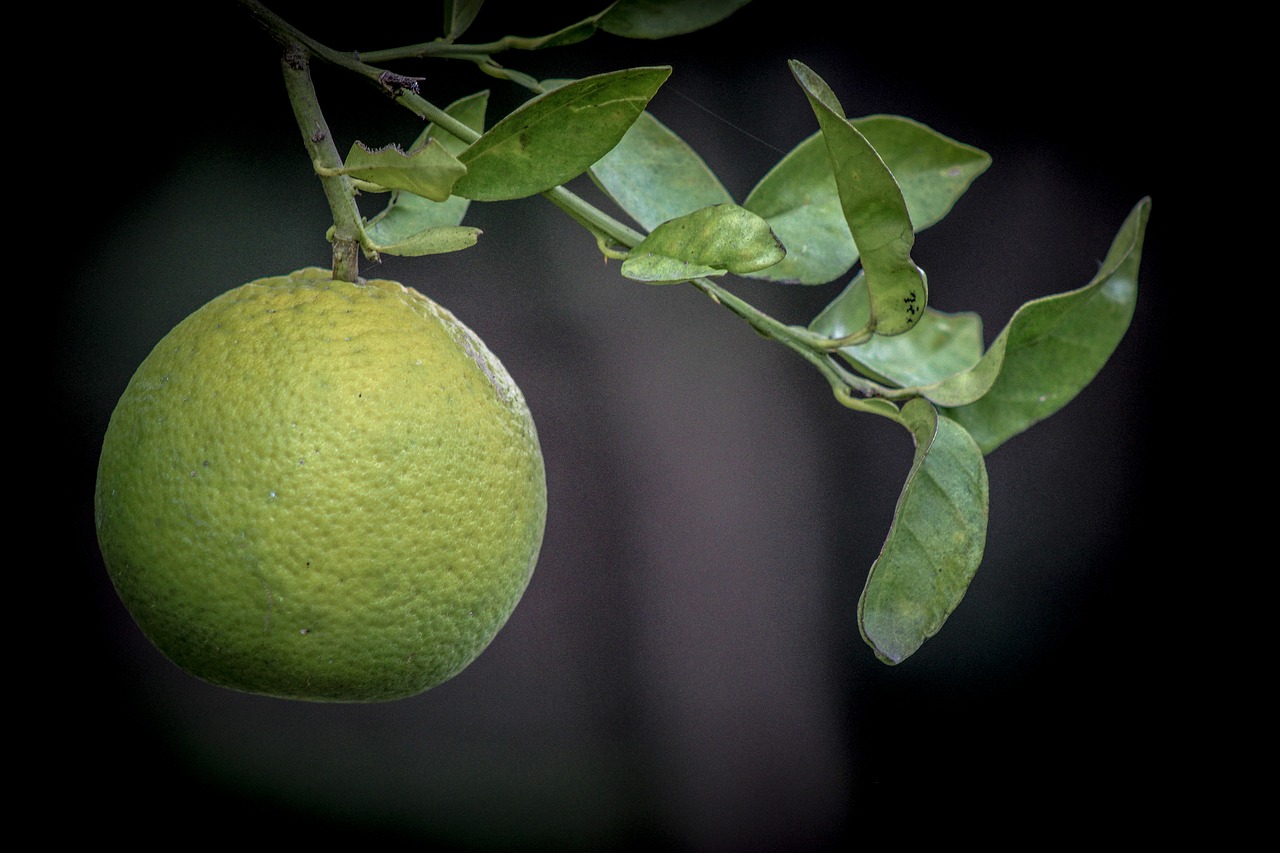 Lapai, Vaisiai, Gamta, Maistas, Flora, Kabantis, Nemokamos Nuotraukos,  Nemokama Licenzija