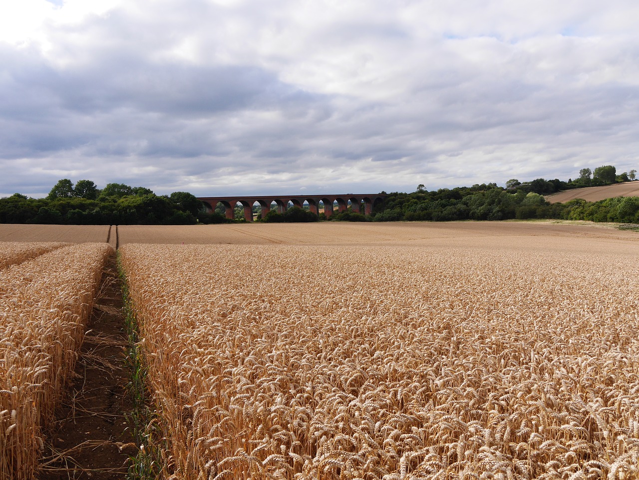 Leicestershire Kukurūzų Laukas, Kelias, Vedantis Į Geležinkelio Viaduką, English Late Summer, Nemokamos Nuotraukos,  Nemokama Licenzija