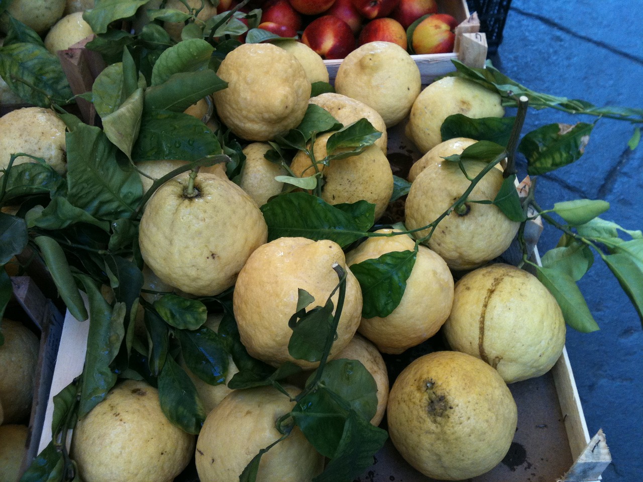 Citrinos, Sorrento, Italy, Citrusiniai, Maistas, Šviežias, Vaisiai, Ekologiškas, Vasara, Sicilų Kalba