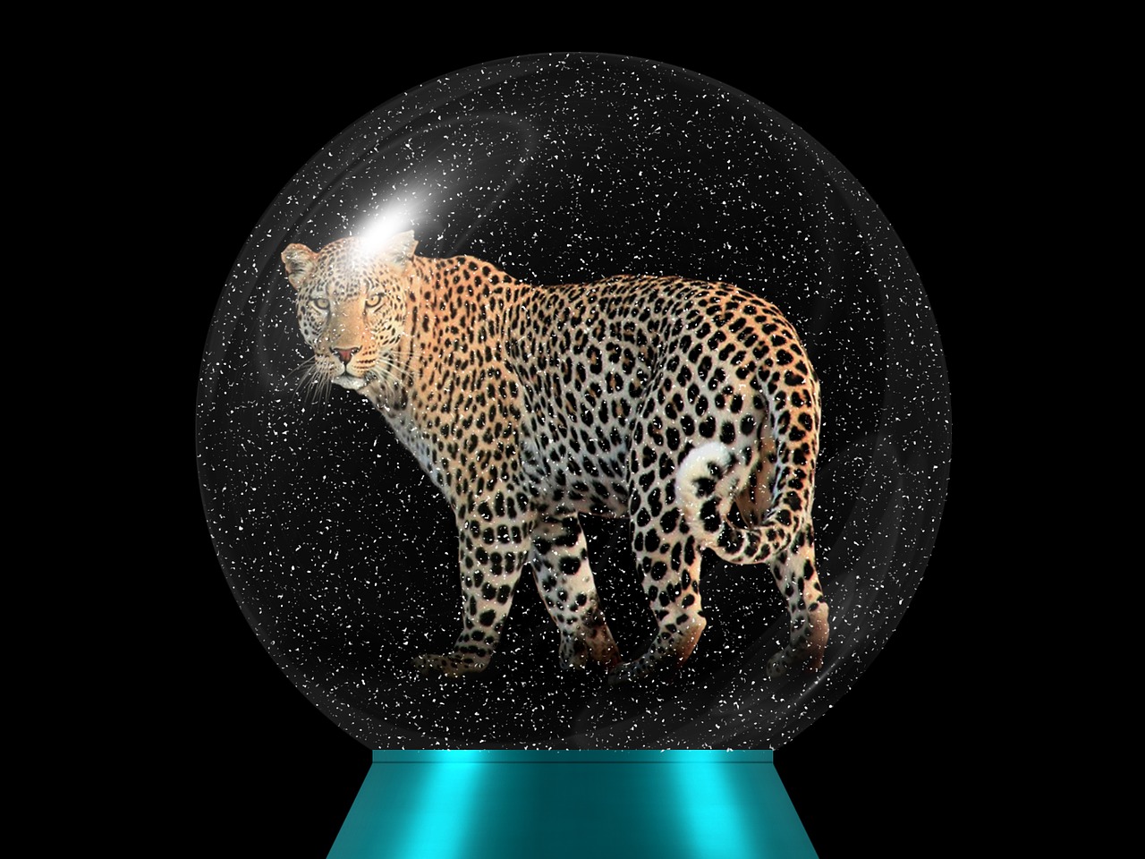 Leopardas, Gyvūnų Pasaulis, Didelė Katė, Plėšrūnas, Stiklo Rutulys, Katė, Wildcat, Laukiniai, Rutulys, Stiklas