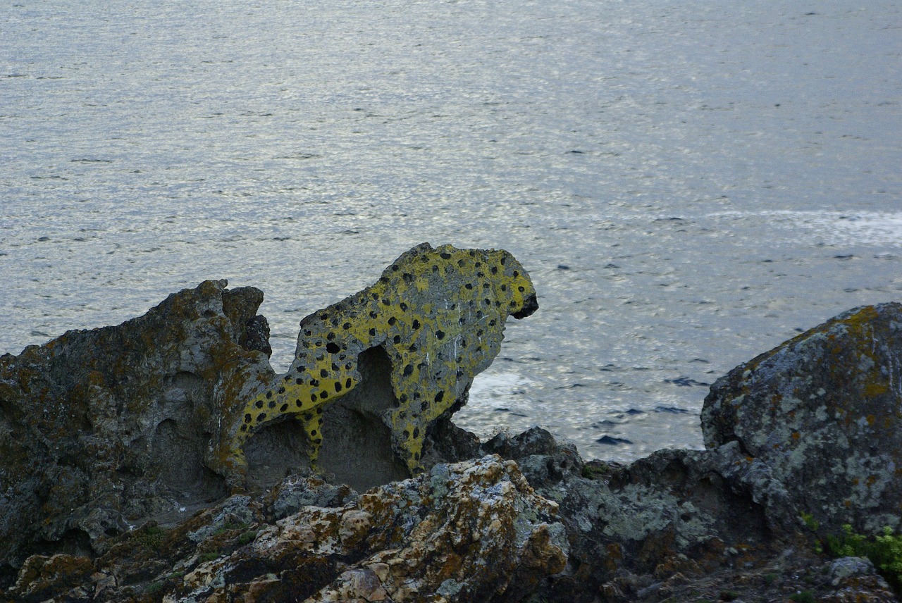 Leopardas, Galicia, Jūra, Nemokamos Nuotraukos,  Nemokama Licenzija
