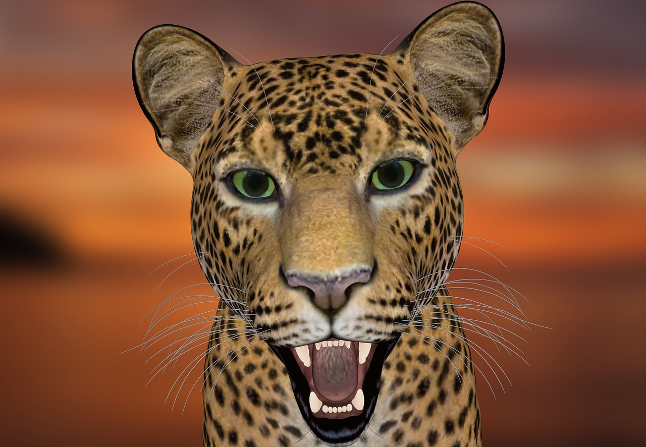 Leopardas, Leopardo Galva, Gyvūnų Pasaulis, Didelė Katė, Plėšrūnas, Wildcat, Laukinis Gyvūnas, Gyvūnų Portretas, Gyvūnas, Kailis
