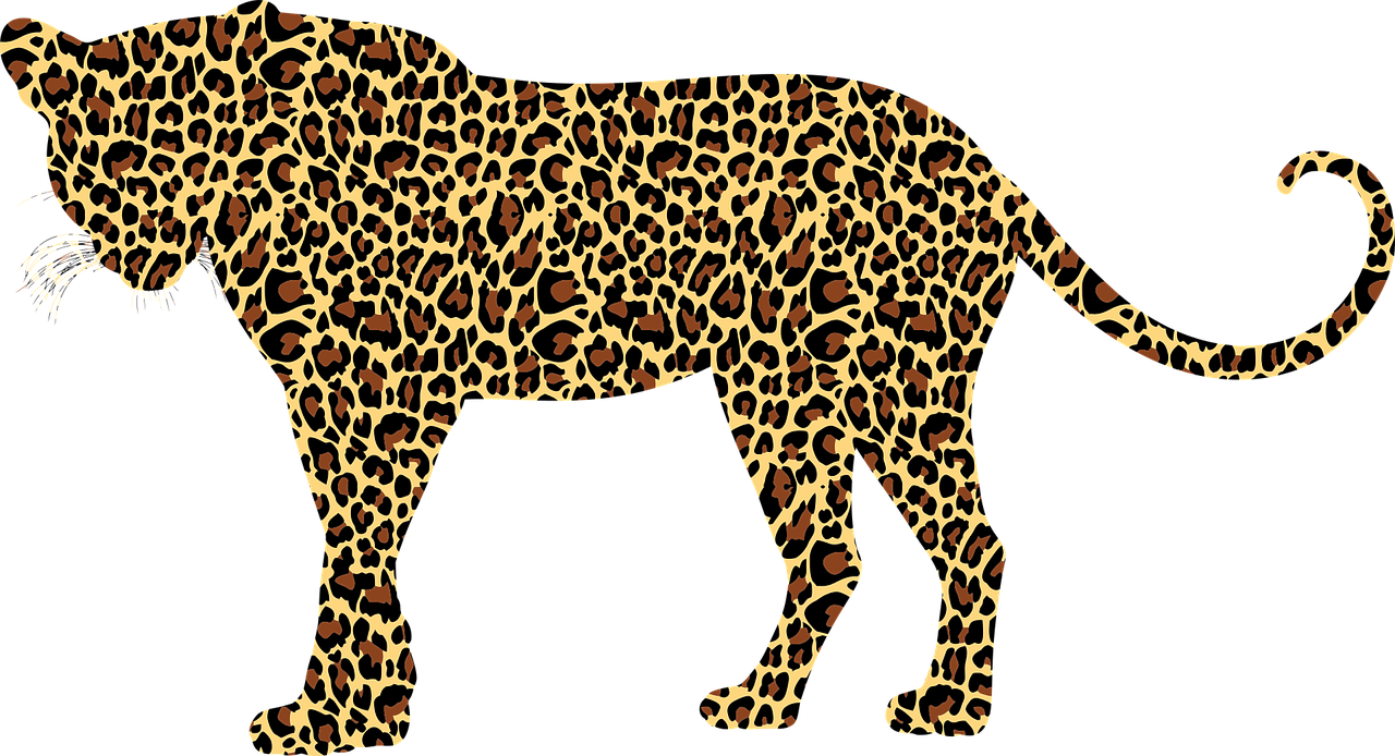 Leopardas, Didelė Katė, Kačių, Gyvūnas, Laukinė Gamta, Siluetas, Tekstūra, Dėmės, Nemokama Vektorinė Grafika, Nemokamos Nuotraukos
