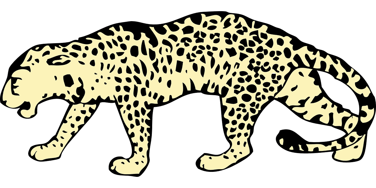 Leopardas, Pastebėtas, Prisirišęs, Gyvūnas, Žinduolis, Medžioklė, Laukinė Gamta, Spausdinti, Zoologijos Sodas, Afrika