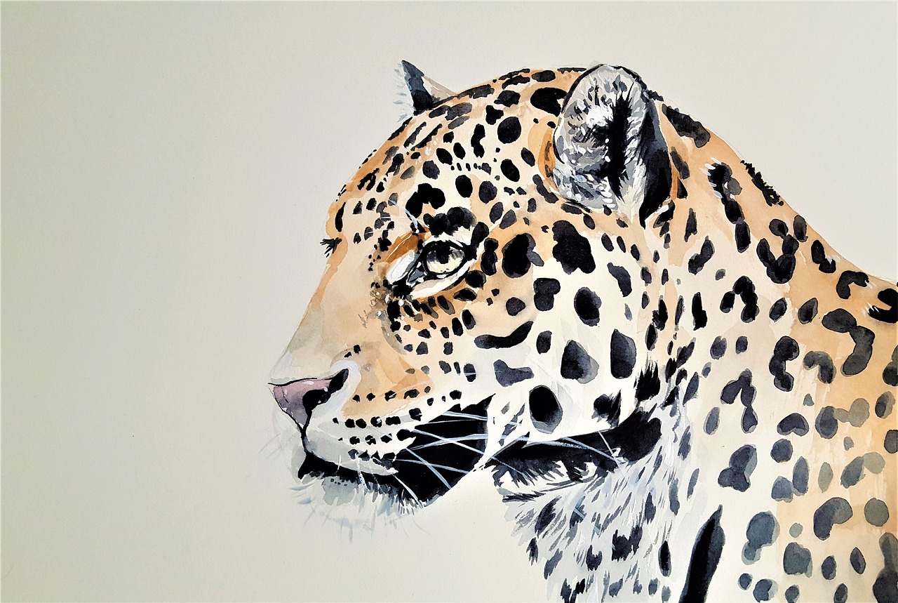 Leopardas, Katė, Žvėrys, Gyvūnas, Plėšrūnas, Dėmės, Gamta, Dažymas, Akvarelė, Nemokamos Nuotraukos