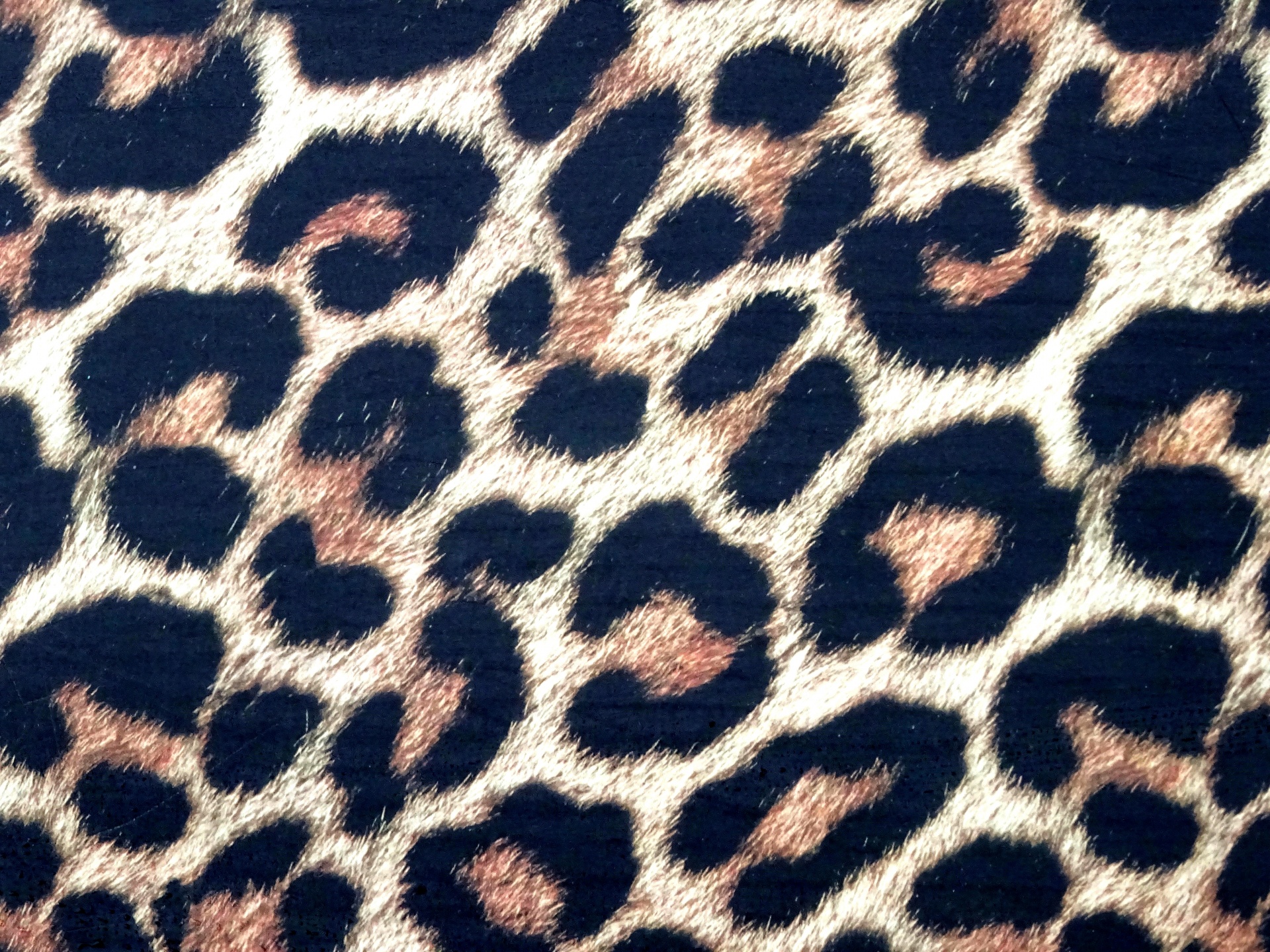 Animal pattern. Леопард паттерн. Шкура леопарда. Кожа леопарда. Леопардовый фон.