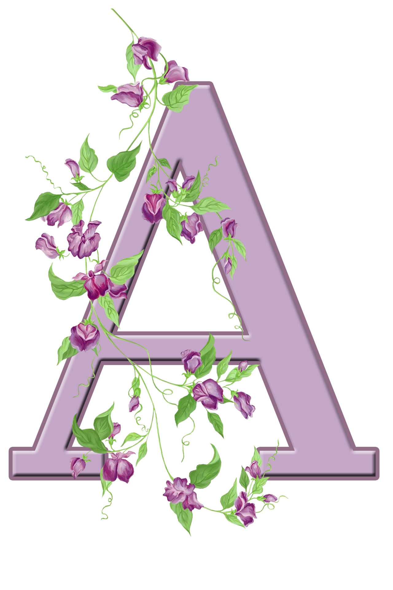 A,  Laiškas,  Monograma,  Pradinis,  Abėcėlė,  Gėlių,  Gėlės,  Lapai,  Violetinė,  Graži