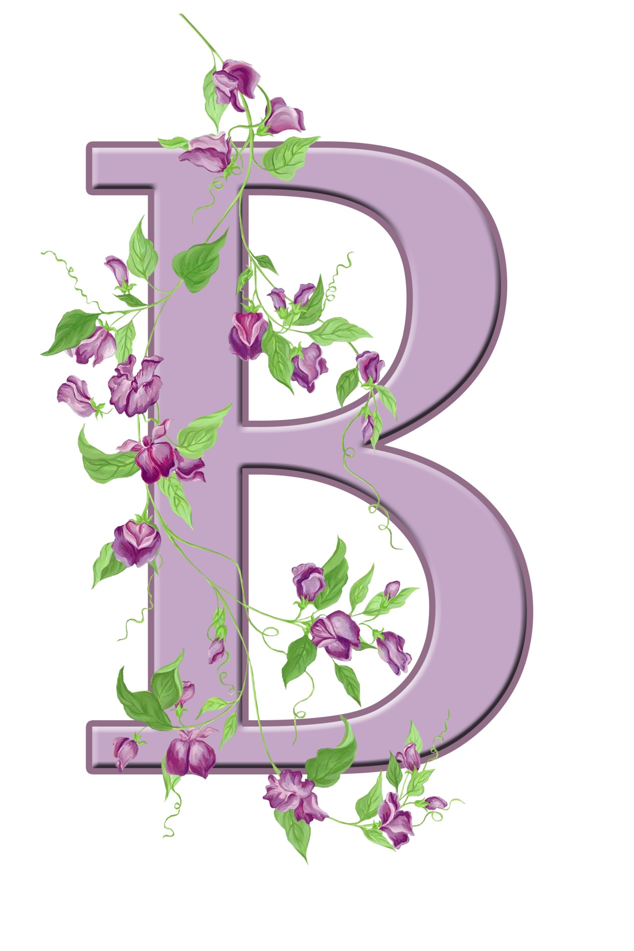 B,  Laiškas,  Monograma,  Pradinis,  Abėcėlė,  Gėlių,  Gėlės,  Lapai,  Violetinė,  Graži