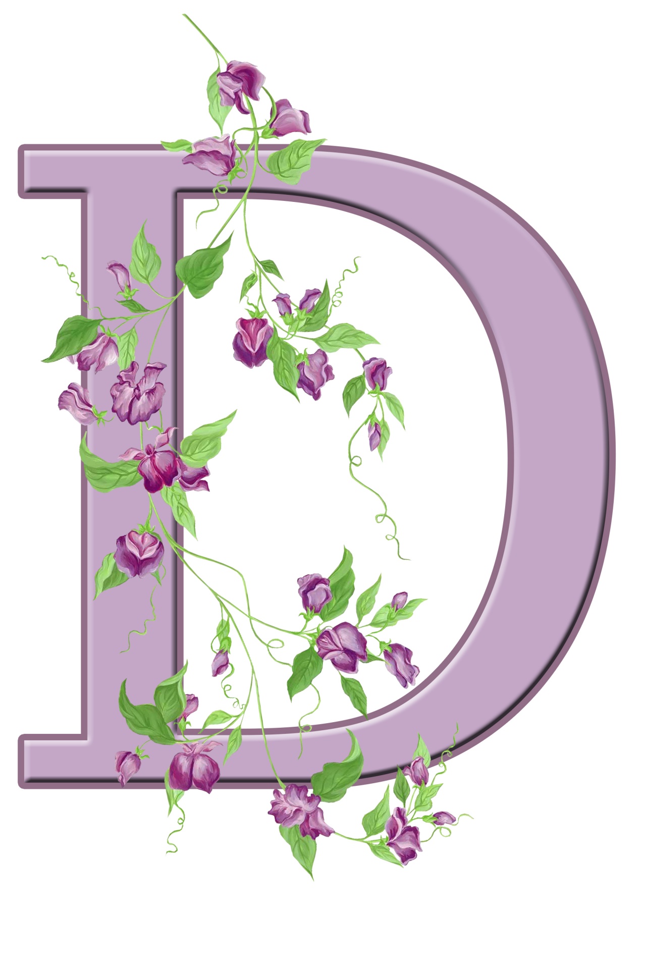 D,  Laiškas,  Monograma,  Pradinis,  Abėcėlė,  Gėlių,  Gėlės,  Lapai,  Violetinė,  Graži