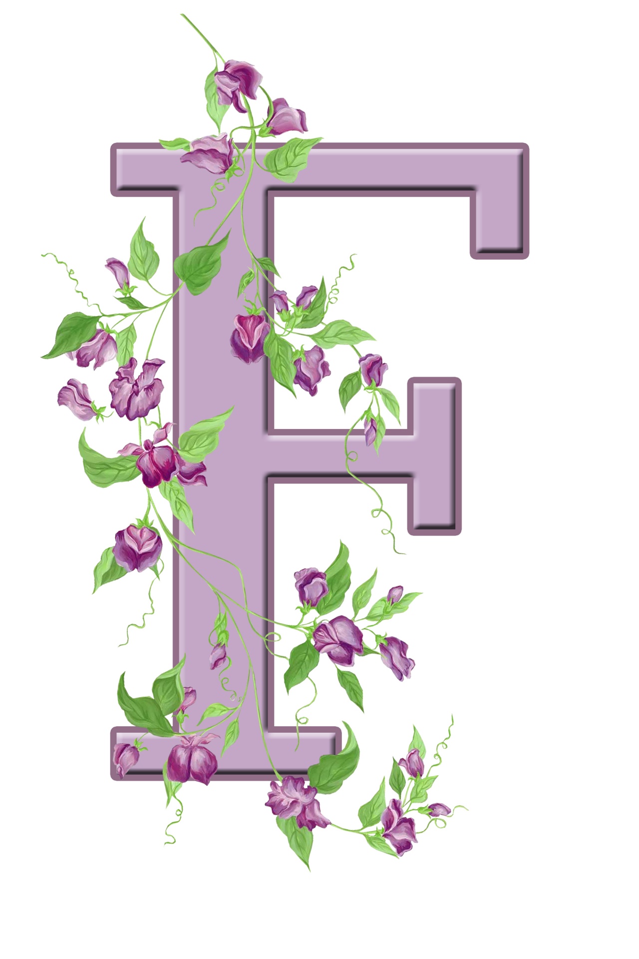 F,  Laiškas,  Monograma,  Pradinis,  Abėcėlė,  Gėlių,  Gėlės,  Lapai,  Violetinė,  Graži