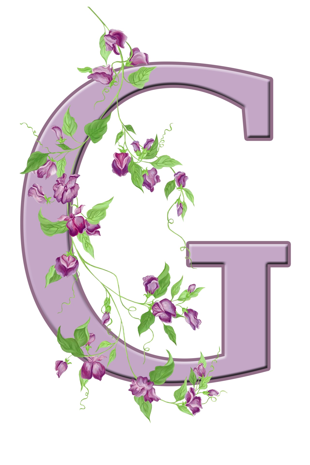 G,  Laiškas,  Monograma,  Pradinis,  Abėcėlė,  Gėlių,  Gėlės,  Lapai,  Violetinė,  Graži