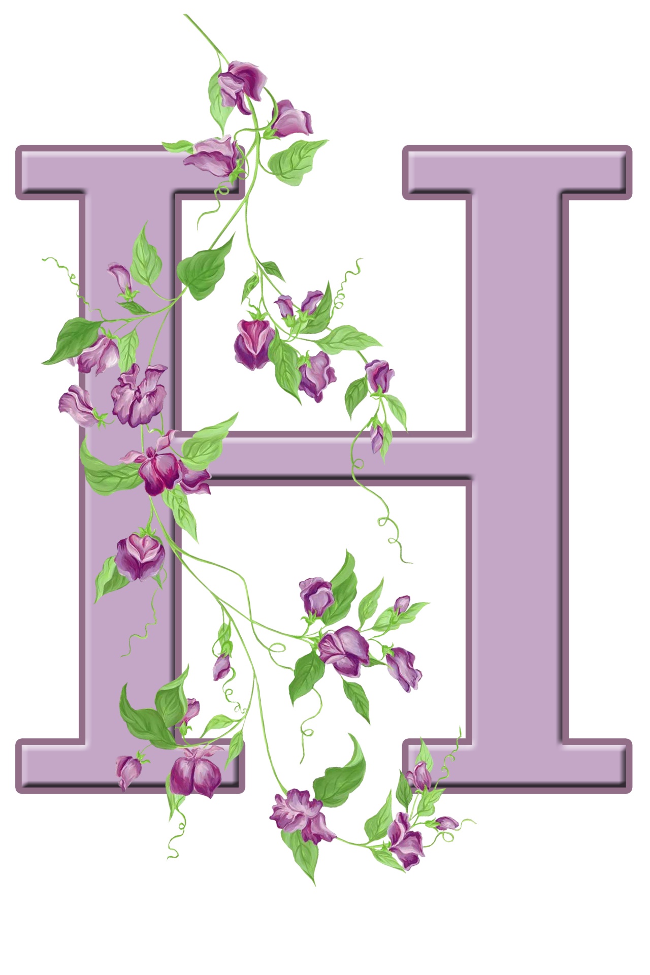 H,  Laiškas,  Monograma,  Pradinis,  Abėcėlė,  Gėlių,  Gėlės,  Lapai,  Violetinė,  Graži