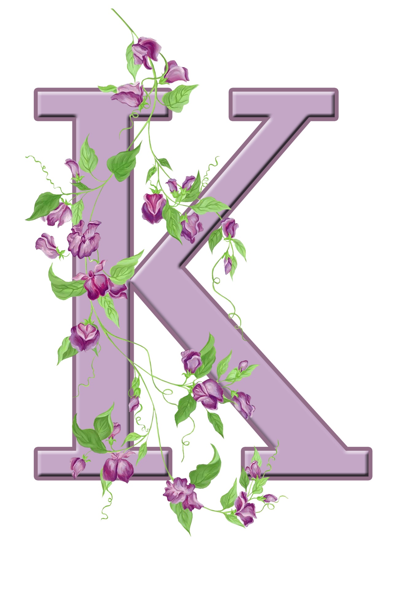 K,  Laiškas,  Monograma,  Pradinis,  Abėcėlė,  Gėlių,  Gėlės,  Lapai,  Violetinė,  Graži
