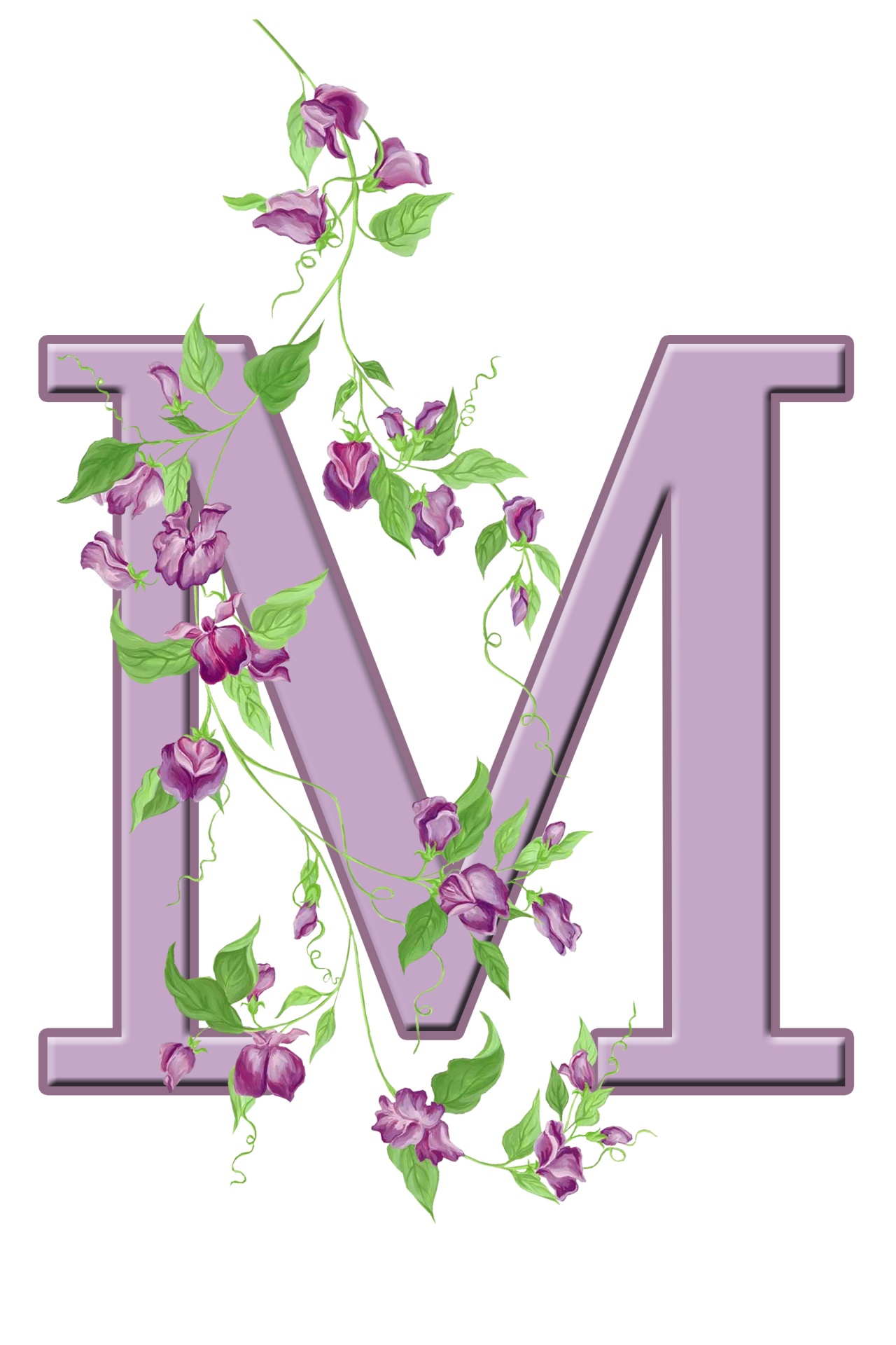 M,  Laiškas,  Monograma,  Pradinis,  Abėcėlė,  Gėlių,  Gėlės,  Lapai,  Violetinė,  Graži