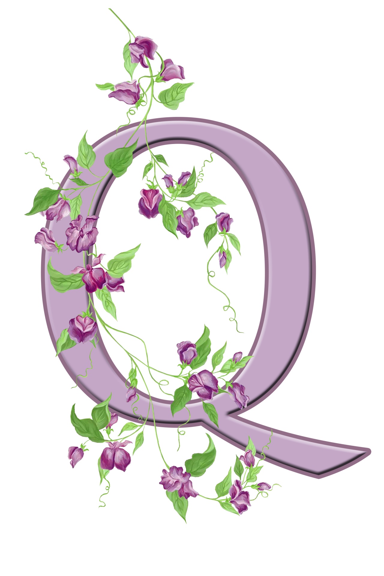 Q,  Laiškas,  Monograma,  Pradinis,  Abėcėlė,  Gėlių,  Gėlės,  Lapai,  Violetinė,  Graži