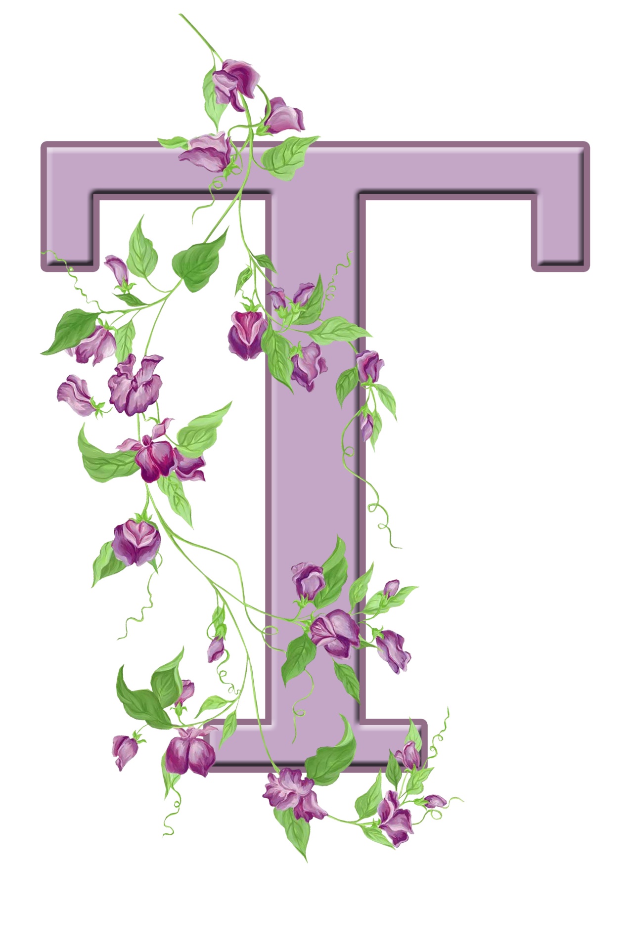 T,  Laiškas,  Monograma,  Pradinis,  Abėcėlė,  Gėlių,  Gėlės,  Lapai,  Violetinė,  Graži