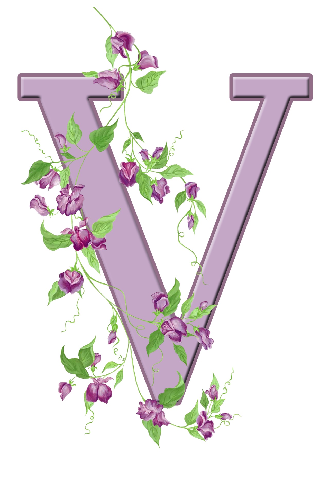 V,  Laiškas,  Monograma,  Pradinis,  Abėcėlė,  Gėlių,  Gėlės,  Lapai,  Violetinė,  Graži