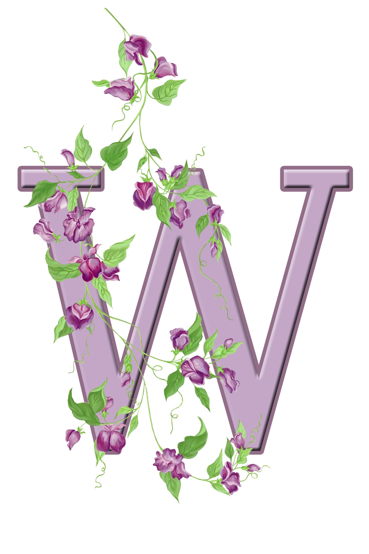 W,  Laiškas,  Monograma,  Pradinis,  Abėcėlė,  Gėlių,  Gėlės,  Lapai,  Violetinė,  Graži