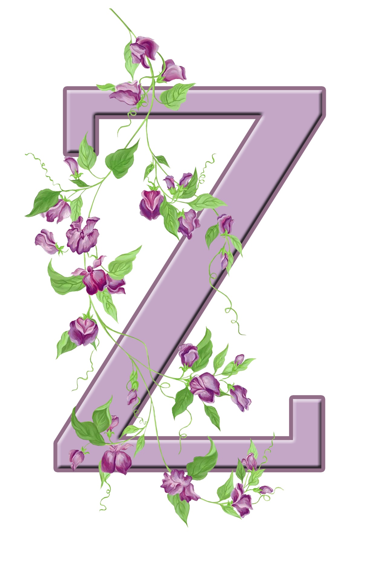Z,  Laiškas,  Monograma,  Pradinis,  Abėcėlė,  Gėlių,  Gėlės,  Lapai,  Violetinė,  Graži