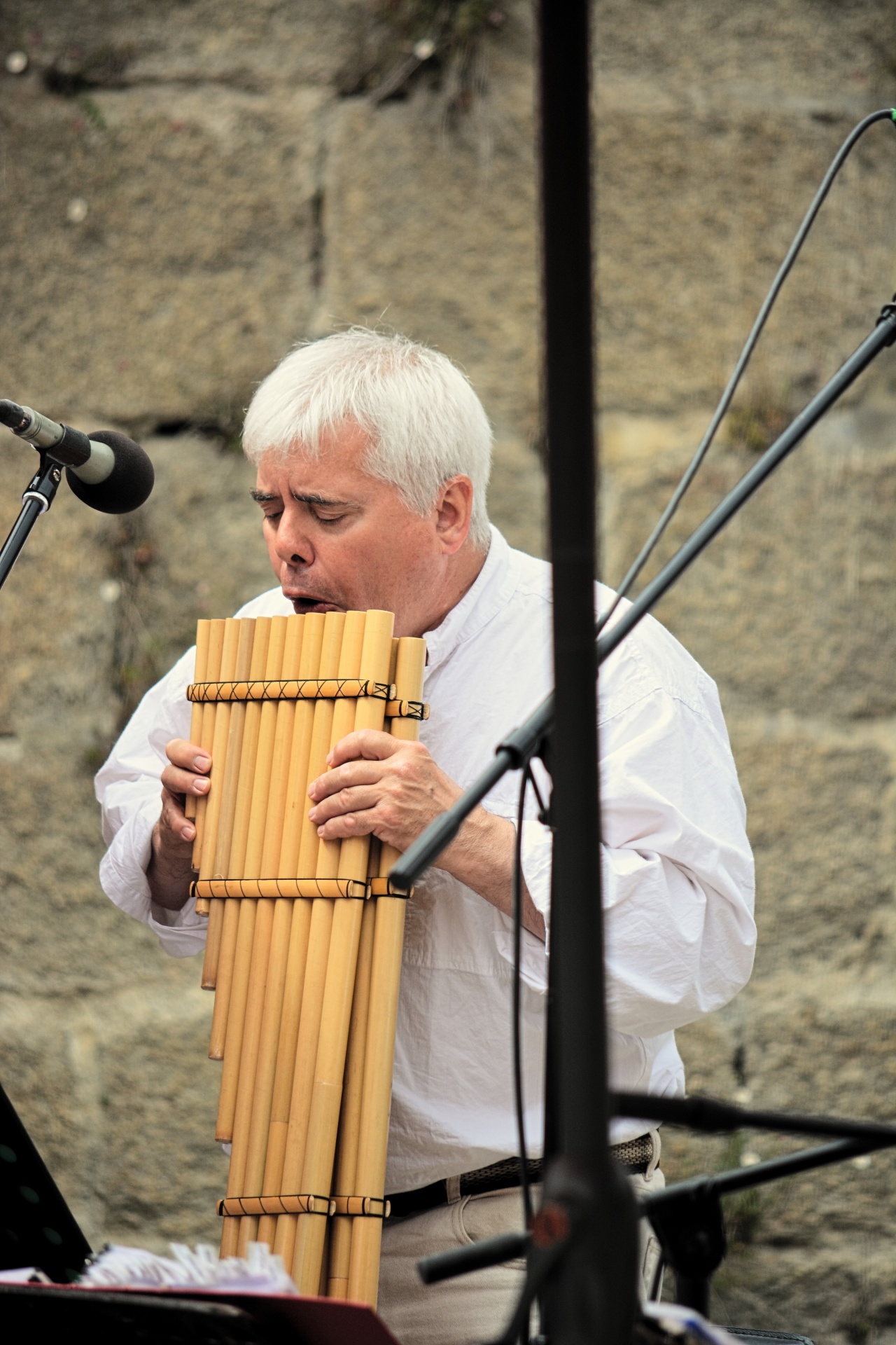 Muzika,  Muzikantas,  Pan & Nbsp,  Fleita,  Muzikinis & Nbsp,  Instrumentas,  Koncertas,  Fleita,  Vyras,  Charakteris