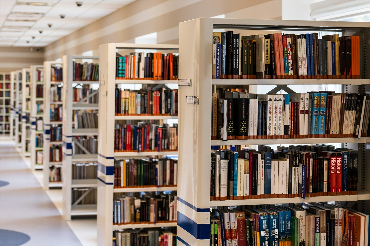 Biblioteka, Knyga, Skaitymas, Švietimas, Žinios, Nuoma, Kielce, Ši Knyga Yra, Knygos Bibliotekoje, Skaityti
