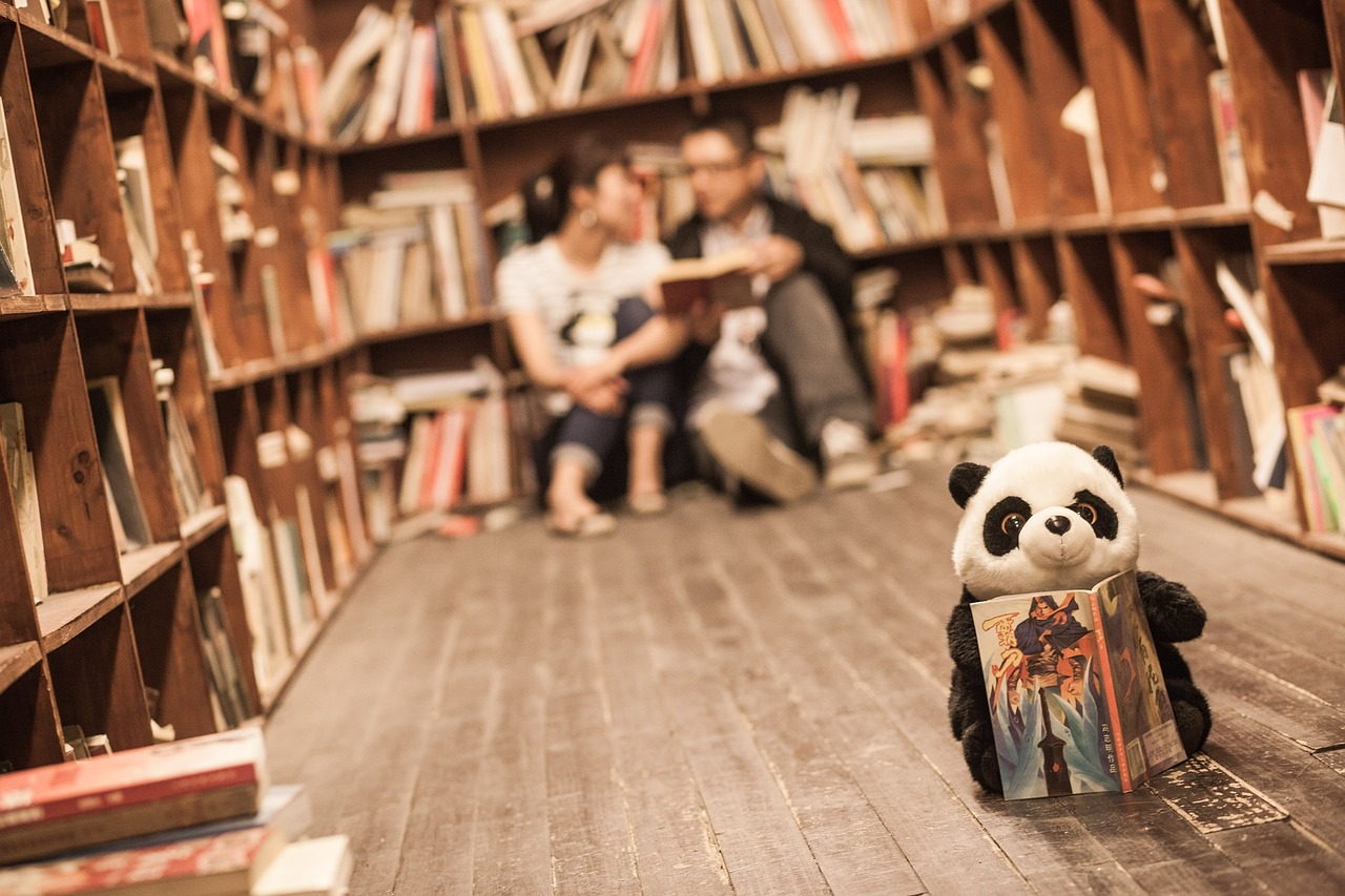 Biblioteka, Poros, Panda, Nemokamos Nuotraukos,  Nemokama Licenzija