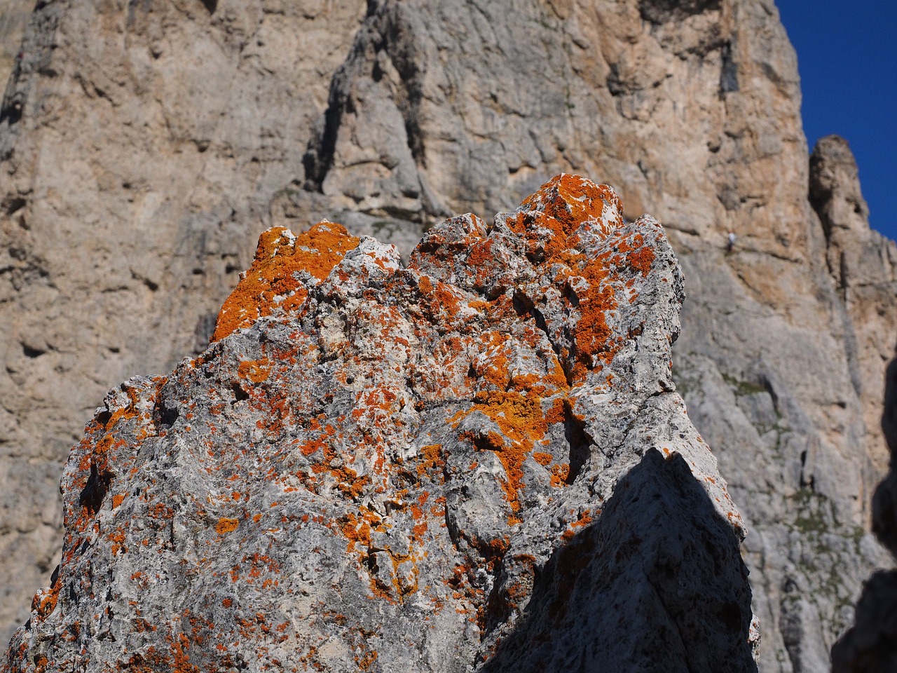 Kerpės, Oranžinė, Užteršimas, Rokas, Akmuo, Xanthoria Elegans, Smulki Geltona Liucerna, Laubflechte, Kalkės, Kalkakmenis