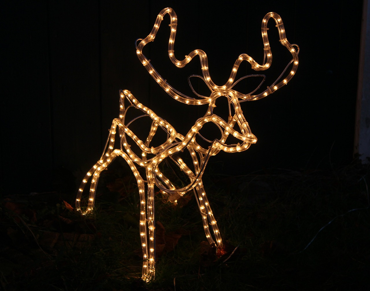 Lichterkette, Šiaurės Elniai, Kalėdos, Apdaila, Kalėdiniai Dekoracijos, Deko, Adventas, Figūra, Kalėdų Laikas, Šviesa