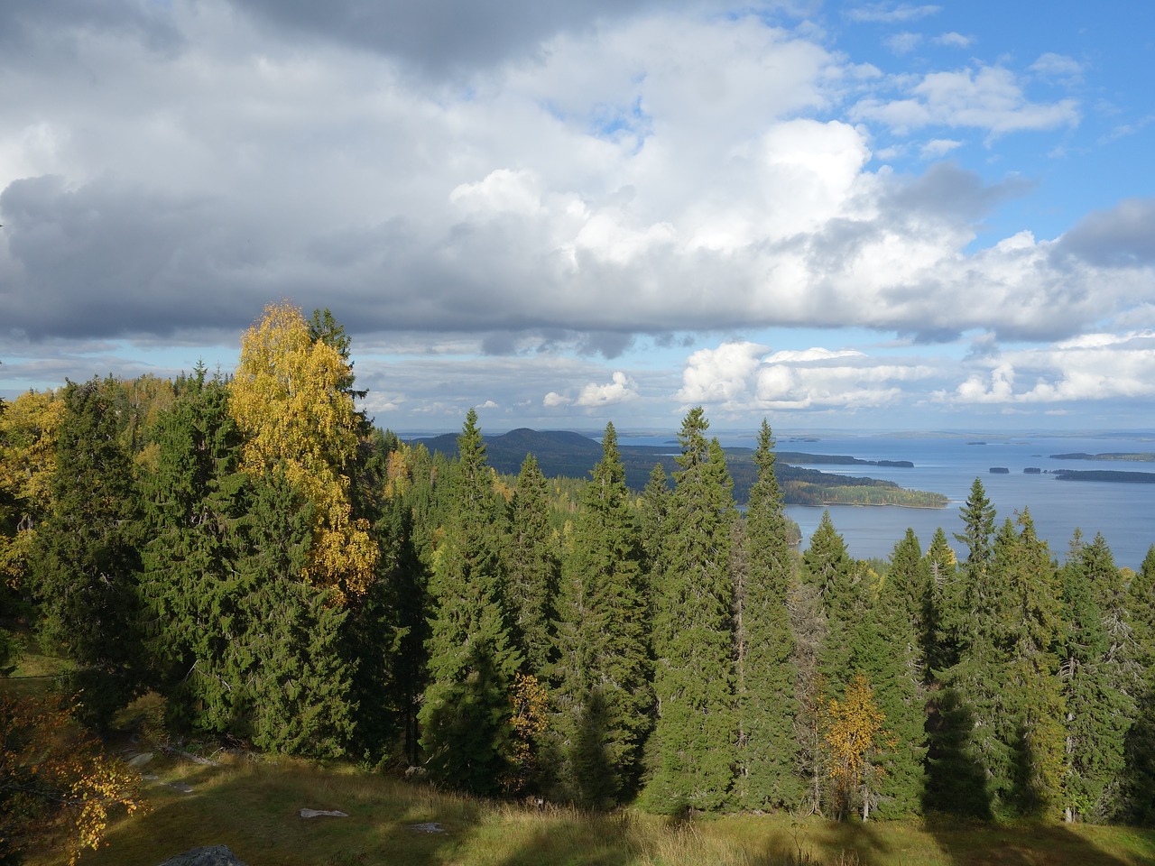 Lieksa, Finland, Vasara, Gražus Peizažas, Kraštovaizdis, Pielinen, Nemokamos Nuotraukos,  Nemokama Licenzija