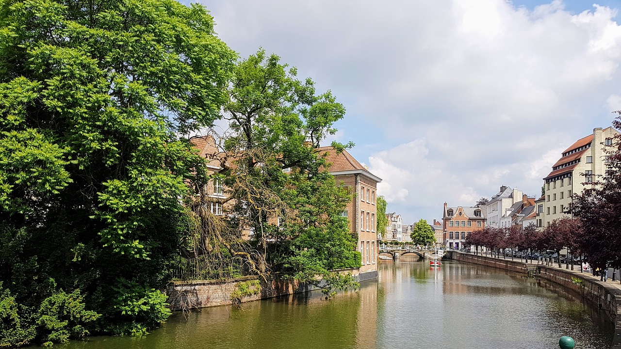 Lier,  Belgija,  Miestas,  Peržiūrėti,  Seni Pastatai,  Vandens,  Panorama,  Architektūra,  Gamta, Nemokamos Nuotraukos