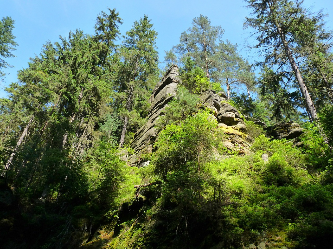 Šviesa, Šešėlis, Saksonijos Šveicarija, Rokas, Gamta, Lipti, Žygiai, Elbsandsteingebierge, Nemokamos Nuotraukos,  Nemokama Licenzija