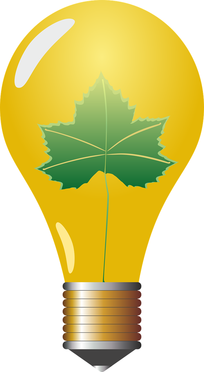 Lemputė, Kriaušė, Lempa, Eco, Energijos Revoliucija, Ekologinė Elektros Energija, Ekologiškai, Aplinka, Aplinkos Apsauga, Energija