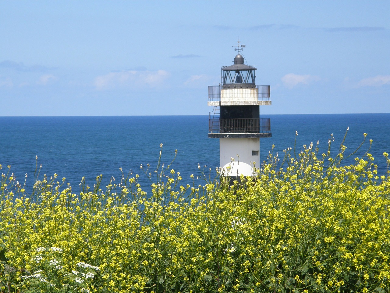 Švyturys, Gėlės, Galicia, Mėlynas, Kraštovaizdis, Gamta, Jūra, Vandenynas, Nemokamos Nuotraukos,  Nemokama Licenzija