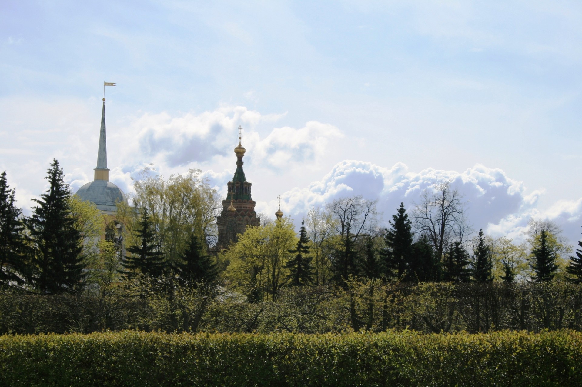 Panorama,  Medžiai,  Gyvatvorės,  Žalumos,  Spiers,  Debesys,  Medžių Linija,  Peterhof, Nemokamos Nuotraukos,  Nemokama Licenzija