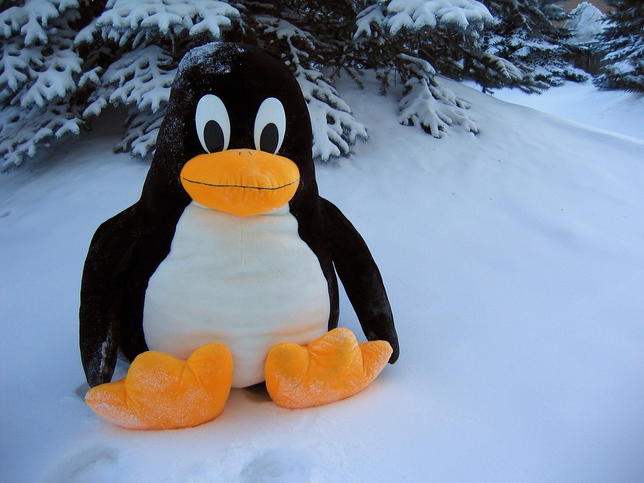 Linux, Pingvinas, Juokinga, Sniegas, Žaislas, Paukštis, Fantazija, Riebalai, Linksma, Mielas