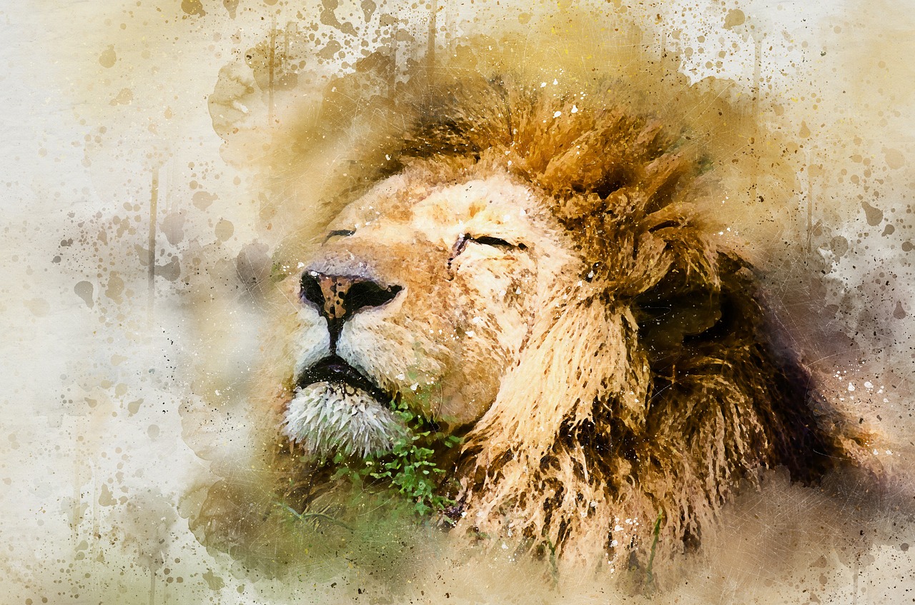 Liūtas, Afrikinis Liūtas, Skeezy Liūtas, Afrikos, Katė, Laukiniai, Gyvūnas, Patinas, Laukinė Gamta, Žinduolis