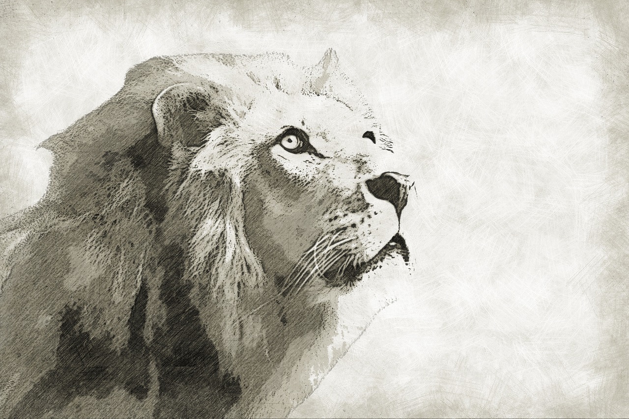 Liūtas, Žinduolis, Gyvūnas, Laukiniai, Laukinė Gamta, Karalius, Portretas, Fauna, Leo, Katė