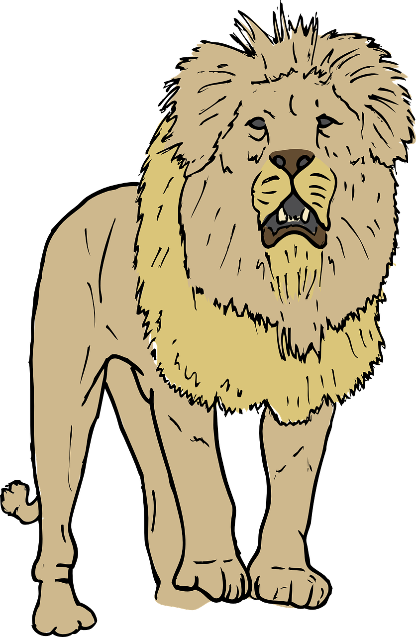 Liūtas, Riaumojimas, Žiurkė, Karalius, Mėsėdis, Plėšrūnas, Didingas, Laukiniai, Safari, Afrika