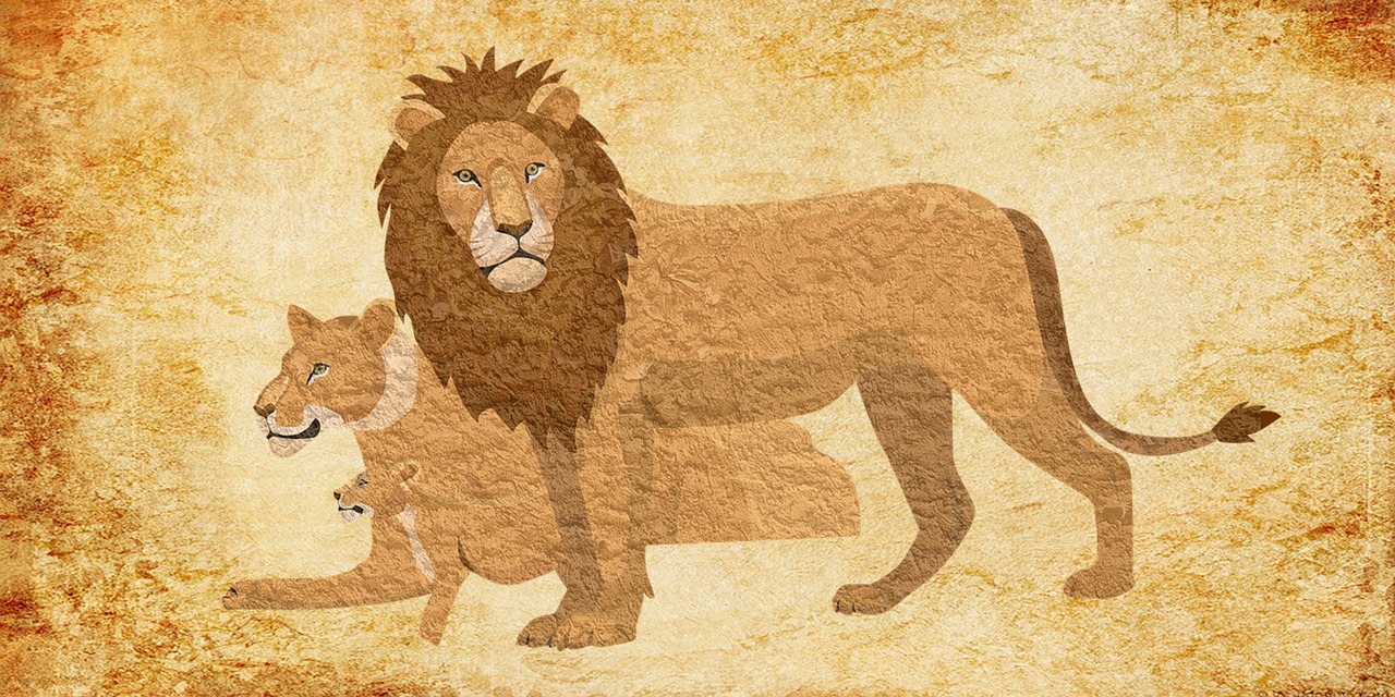 Liūtas,  Gyvūnas,  Vintage,  Puma,  Wildcat,  Puma,  Liūtas,  Poros,  Kovotojas,  Karalius