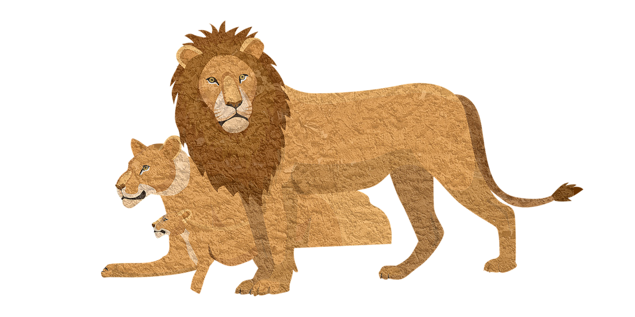 Liūtas,  Pixabay,  Gyvūnas,  Liūtas,  Vintage,  Puma,  Wildcat,  Puma,  Poros,  Kovotojas