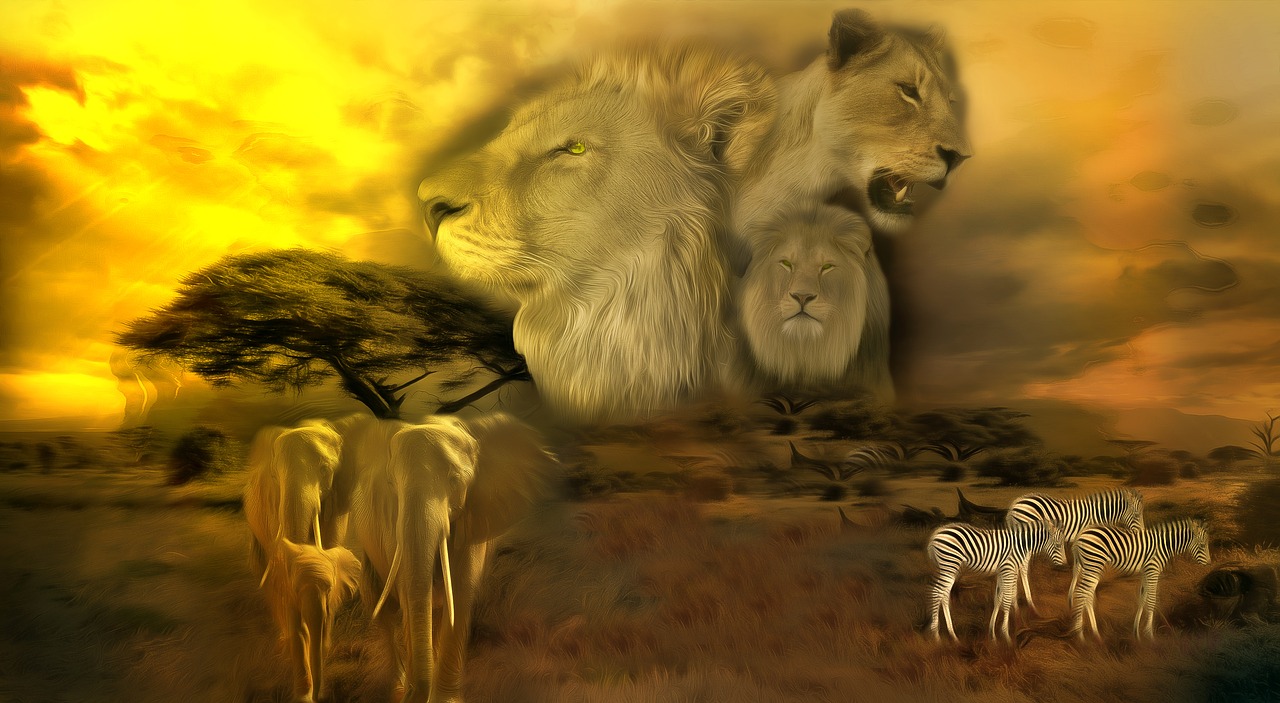 Liūtas,  Afrikoje,  Safari,  Pobūdį,  Gyvūnijos Pasaulyje,  Gyvūnas,  Predator,  Mėsėdžiai,  Liūtės,  Didelė Katė