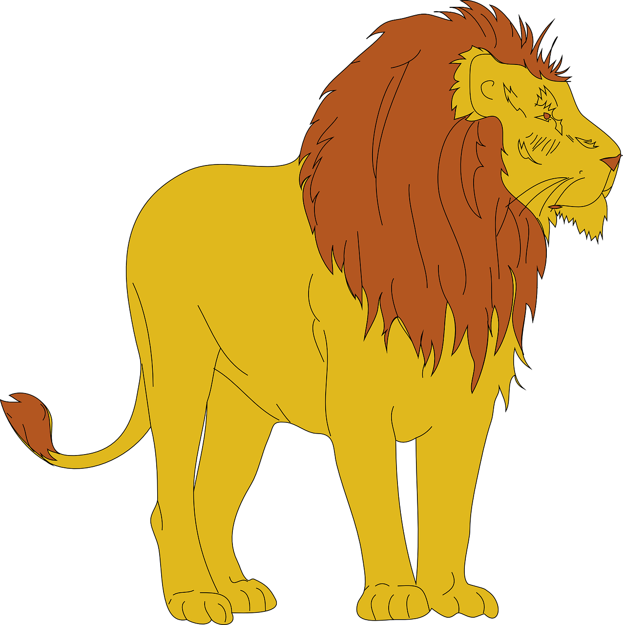 Liūtas, Gyvūnas, Žinduolis, Stovintis, Žiūri, Toli, Laukinė Gamta, Pavojingas, Plėšrūnas, Kingjungle