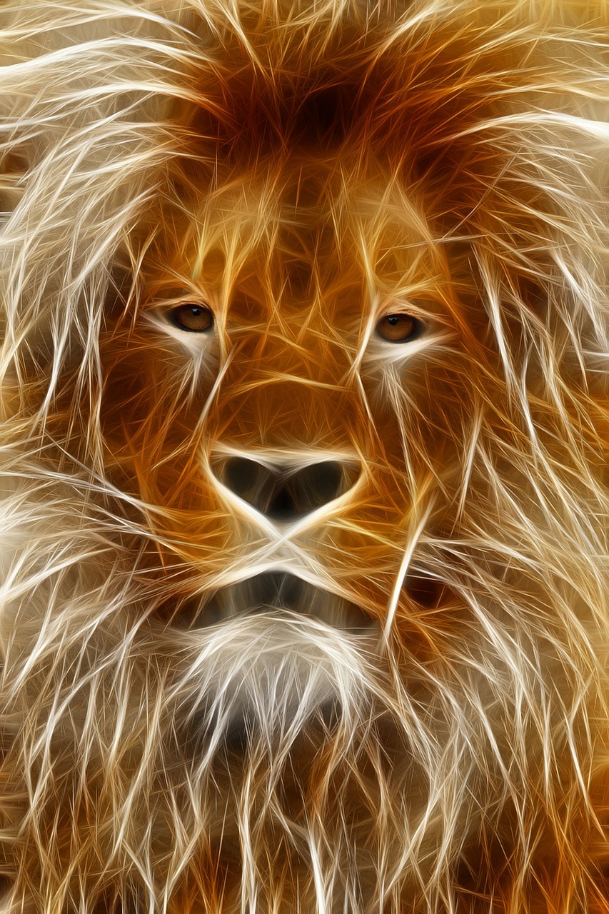 Liūtas, Vaizdo Redagavimas, Grafika, Programa, Photoshop, Fraktalius, Patinas, Burna, Portretas, Safari