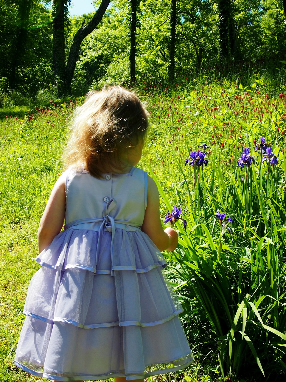 Maža Mergaitė, Purpurinė Suknelė, Irisas, Vaikystę, Laimingas, Pavasaris, Skintos Gėlės, Saulės Šviesa, Grožis, Miškai